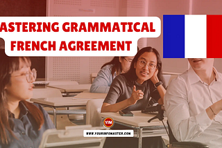 Mastering Grammatical French Agreement: Rules and Examples