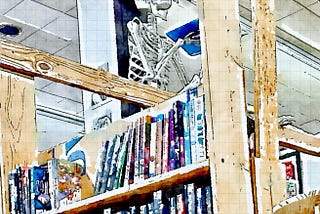 A Fortress of Books