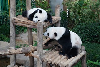 10 Minutes to Pandas — now in Colab!