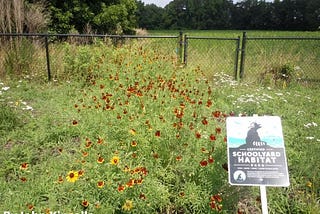 Habitat Enhancement and Environmental Education Reaps Rewards — North Carolina Wildlife Federation