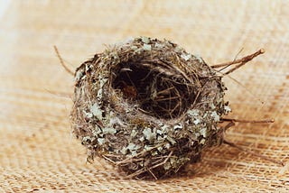 Empty Nest Doesn’t Have to Be Empty
