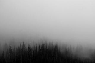 Forest seen through dense fog