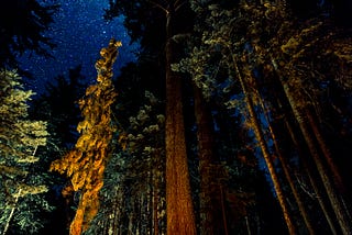 Reminiscing about Beaver Pond Campground