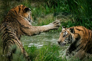 When Schools and Parents Clash Part 2