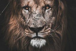 How To Empower Yourself In Relationship