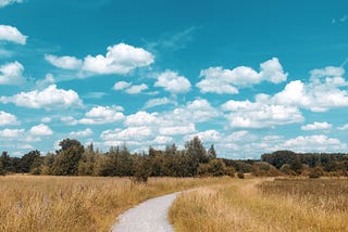 path through field of golden grass with green trees in background, all under blue sky with puffy white clouds