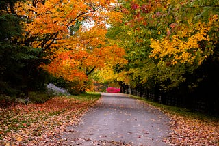 In the Third October