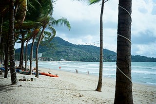 Truce in Paradise