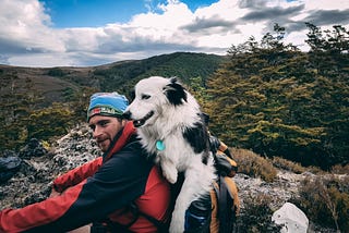 Traveling with Your Furry Friend: A Guide to the Perfect Holiday