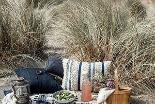 Picnic in the seaside dunes