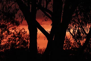 Predicting Australian Wildfires with Weather Forecast Data