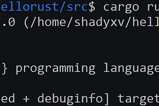 Rust Internals