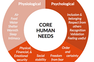 “VITAL CORE” -Common Human Needs and how can it be protected by the international community?”