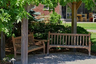 two park benches under a shady tree