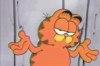 Garfield (orange cartoon) shrugging and blinking with both hands lifting up from his sides