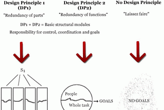 Reimagining Organizational Design: The Power of Participative Democracy