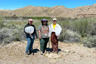 Spend a day in the field with MDLT’s WISDOM interns