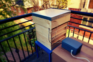 Project Fitbit-For-Bees