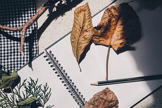 Writer vs Blogger