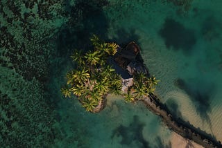Bridging Debt Relief and Climate Resilience: The Role of Debt-for-Climate Swaps