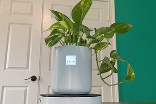 Plantr: a new way of raising plants