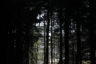 The Middle of Nowhere (5)