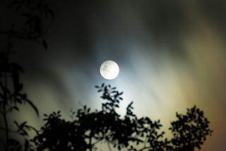 An image of the bright full moon with some silhouetted trees in the foreground