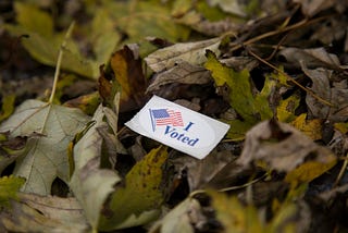 Americans Don’t Understand What Voting is For