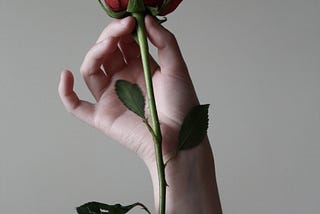 Understanding Pain — 3 Reflections to Navigate a Pain-Full World