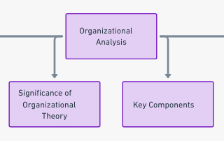 Decoding the Essence of Organizational Analysis: A Deep Dive — Part 1