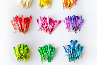 Flower pedals in various colors