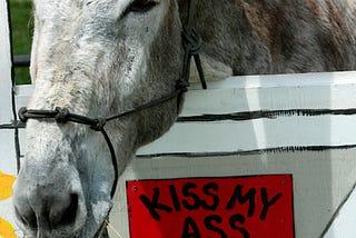 a donkey