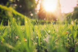 The Therapeutic Embrace of Spring: Unraveling the Connection Between Seasonal Changes and Easing…