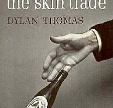 Adventures in the Skin Trade | Cover Image