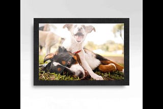 custompictureframes-com-11x15-frame-black-real-wood-picture-frame-width-1-25-inches-interior-frame-d-1
