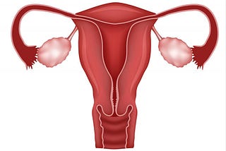 PCOS: Polycystic Ovarian Syndrome, Part #1: The Causes