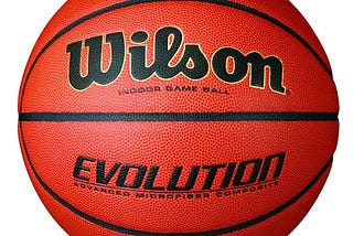 wilson-evolution-indoor-game-basketball-official-1