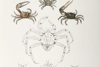 Glosarium Materi Memulai Pemrograman dengan Rust