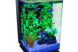 glofish-aquarium-kit-5-gal-1