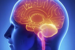 Ketones Key to Brain Health: New data confirm protective effect