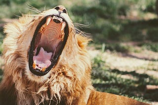 Quit Drinking and Watch Your Problems Melt Away