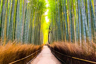 The Way You Think Is the Way You Lead