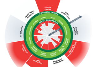 Blossoming Needs and a Big Tent in Environmental Evaluation