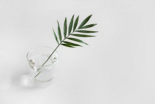 Reclaim Your Center Before You Burn Out