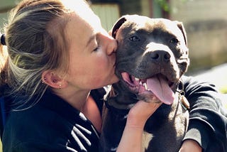Why Pit Bulls Are The Best