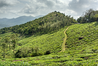 pookode lake in wayanad