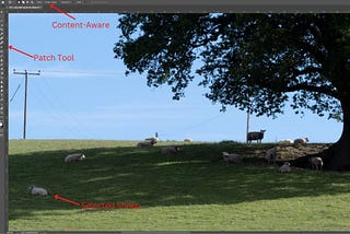 Deciphering the “Not Enough Source Pixels” Error in Photoshop