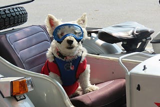 Getting started with GitHub CoPilot