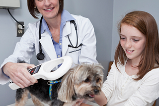 Microchipping 101: Why You Should Get Your Pet Microchipped