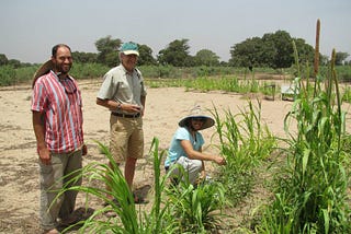 Companion planting is key to food security